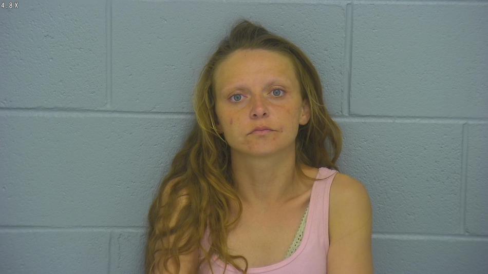 Arrest photo of AMBER BROWN