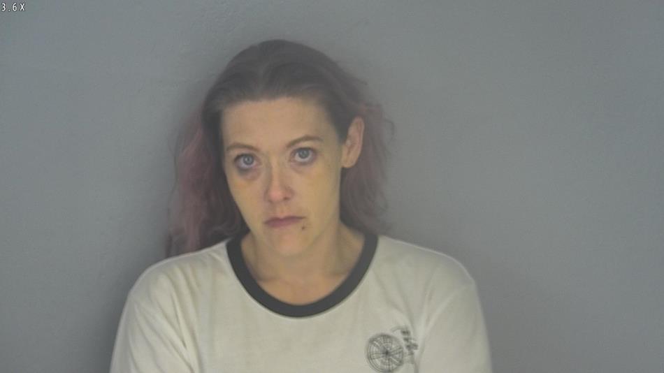 Arrest photo of AMBER SANDERS