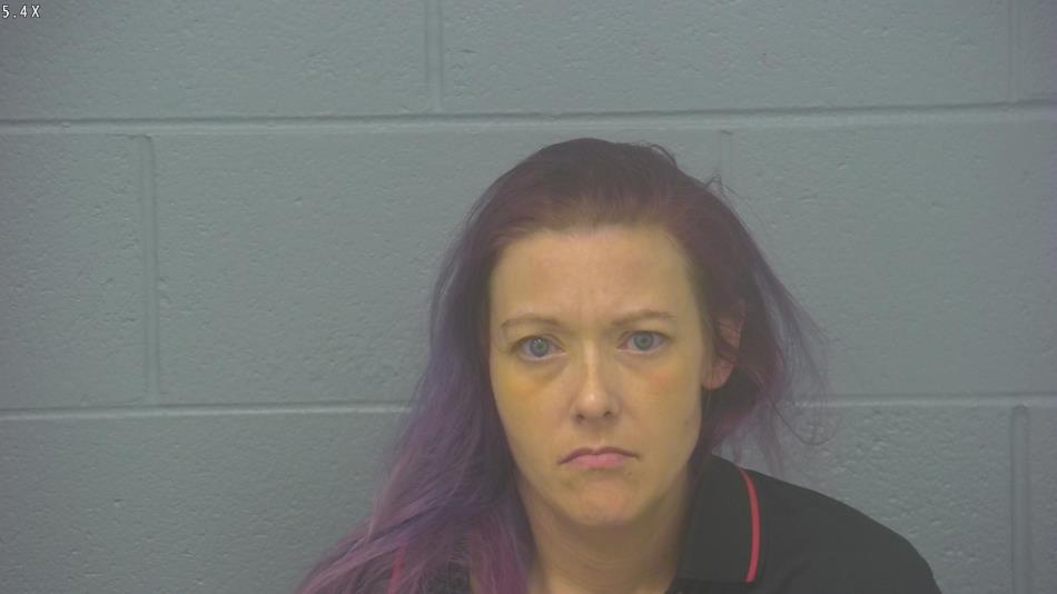 Arrest photo of AMBER SANDERS