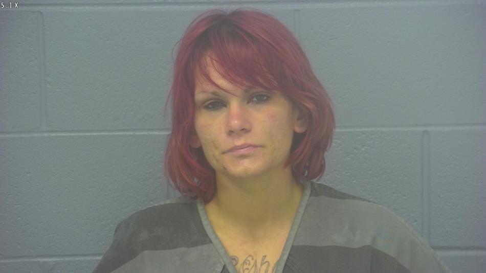 Arrest photo of AMBER HAINLINE