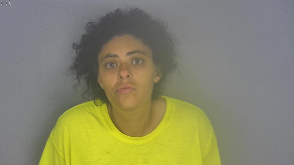 Arrest photo of AMBER RICH