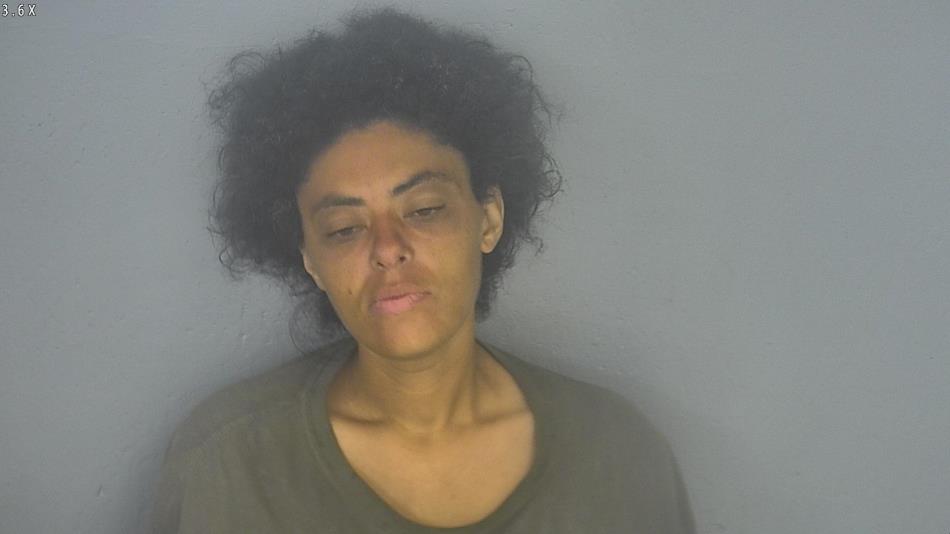 Arrest photo of AMBER RICH