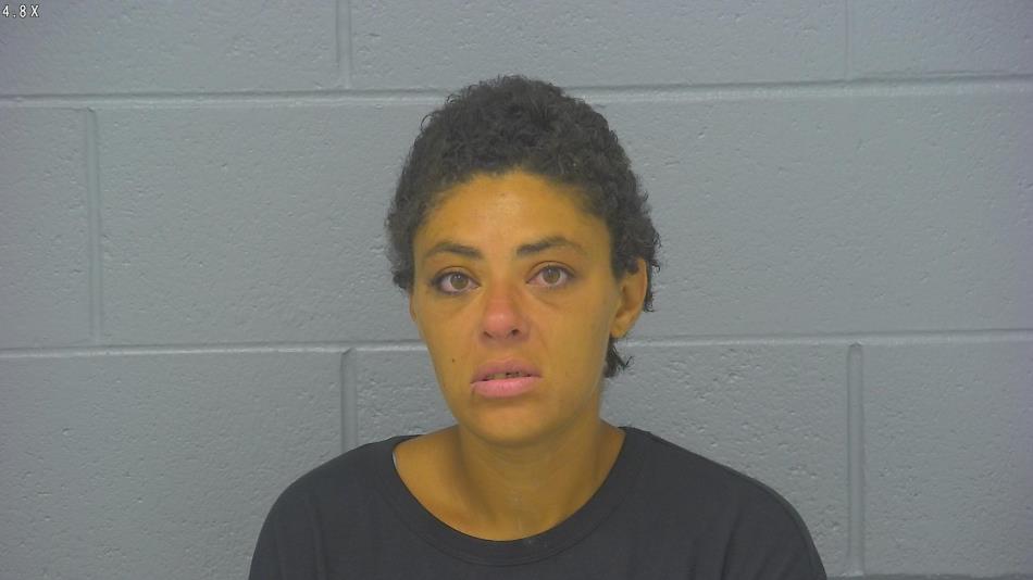 Arrest photo of AMBER RICH