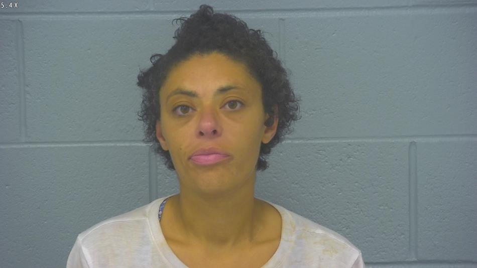 Arrest photo of AMBER RICH