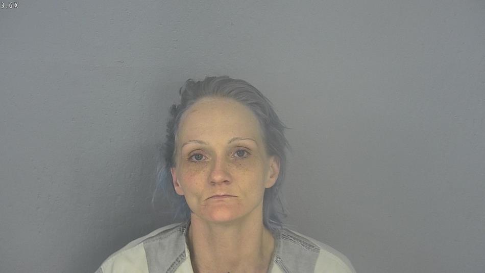 Arrest photo of AMBER WILSON