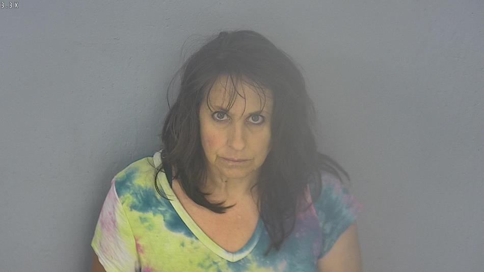 Arrest photo of AMBER WOSIKA