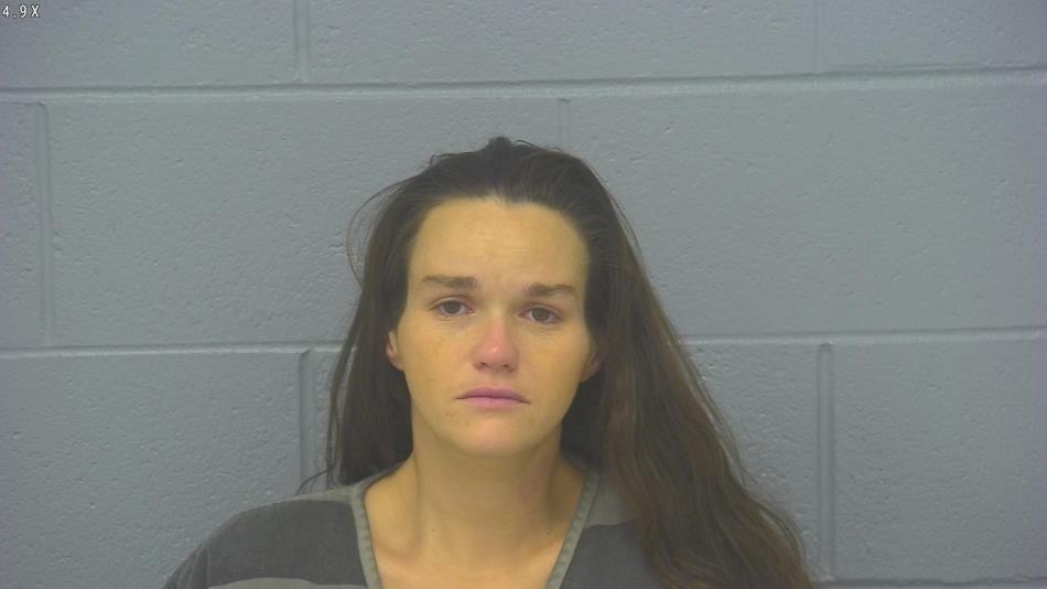 Arrest photo of AMBERLYNN HARRIS