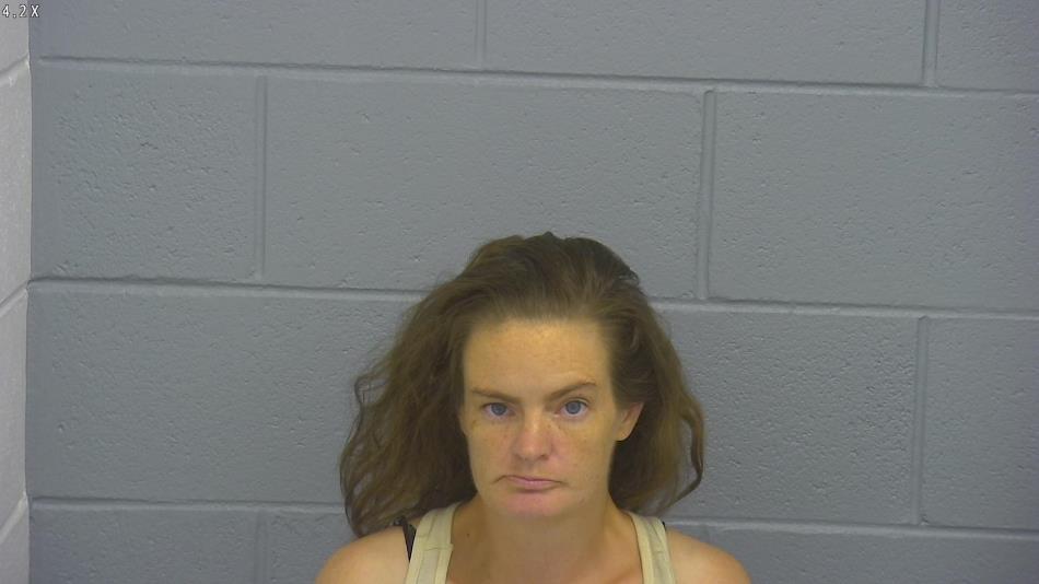 Arrest photo of AMMIE ANDERSON-DEWALT