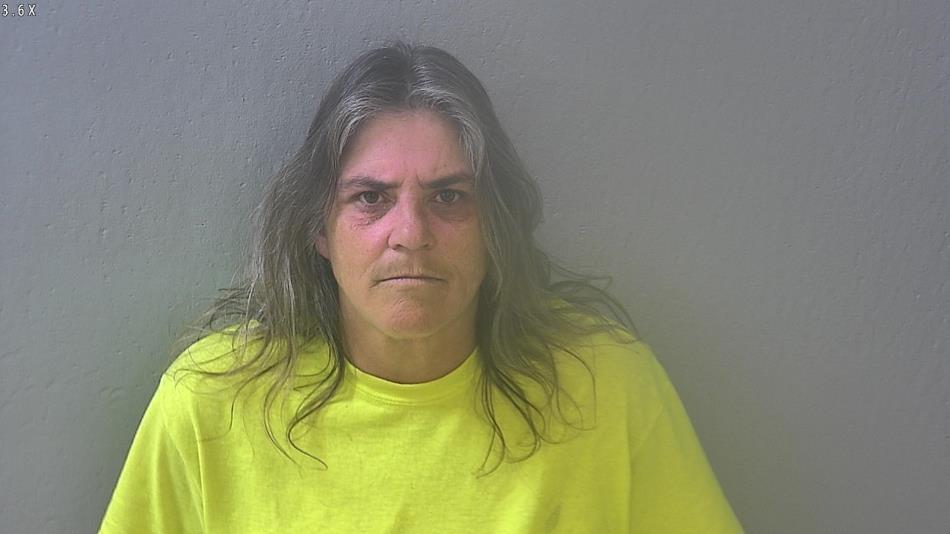 Arrest photo of AMY NETH