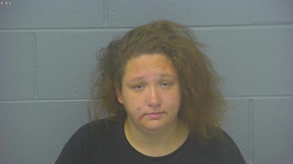 Arrest photo of AMY WOODS
