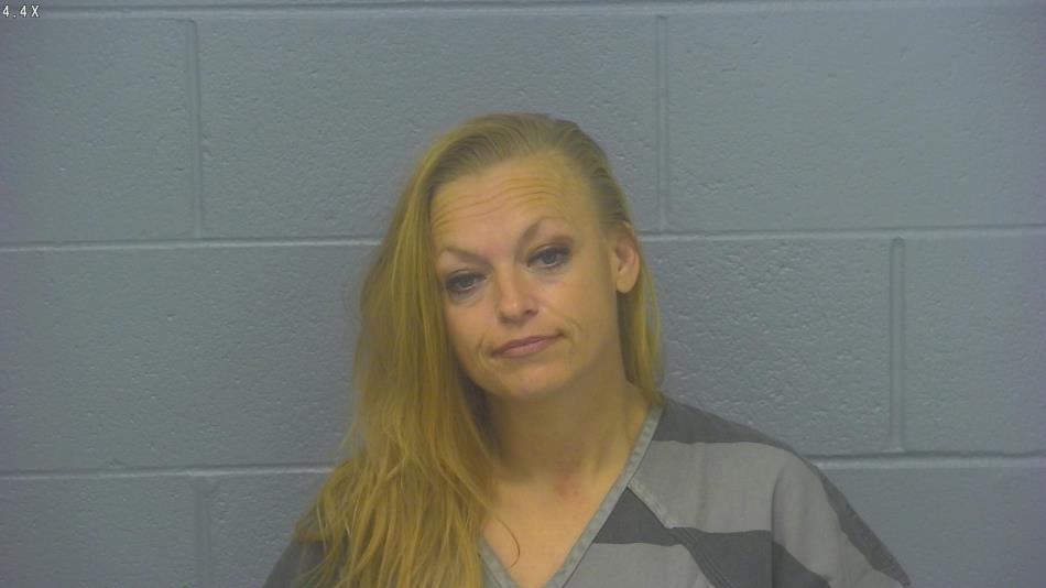 Arrest photo of AMY RICE