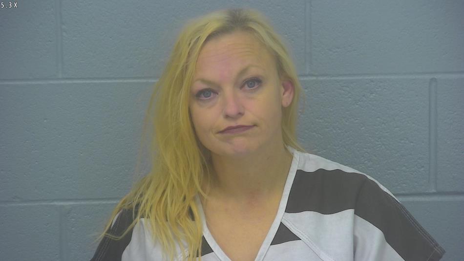 Arrest Photo of AMY RICE, arrested on 4/20/2024