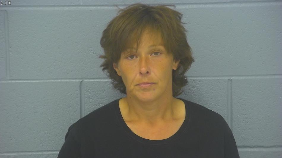 Arrest photo of AMY SNELSON