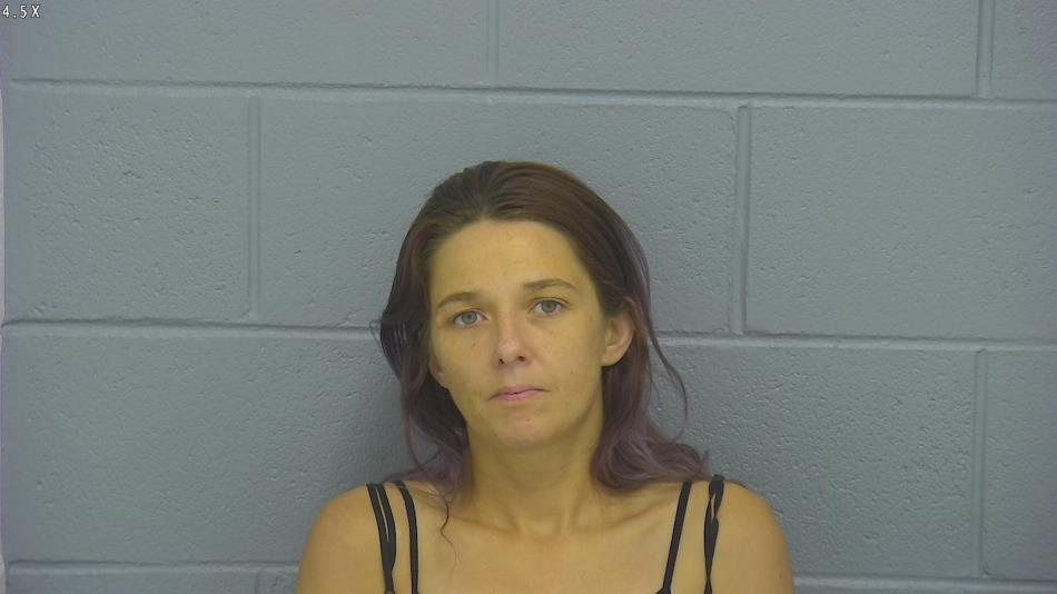 Arrest photo of AMY HESSEE