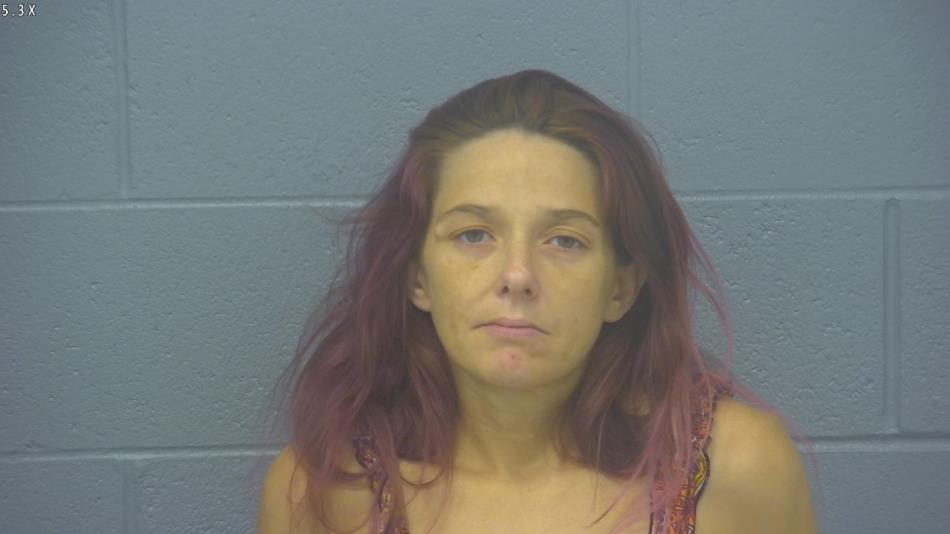 Arrest photo of AMY HESSEE