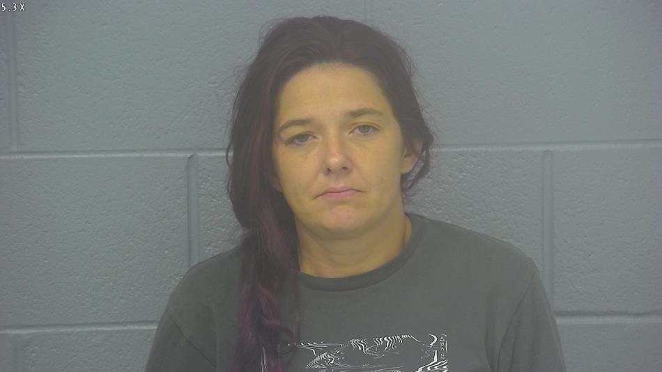 Arrest Photo of AMY HESSEE, arrested on 7/27/2024