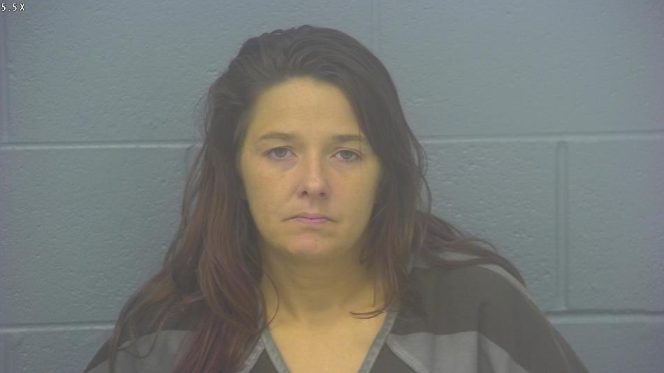 Arrest photo of AMY HESSEE