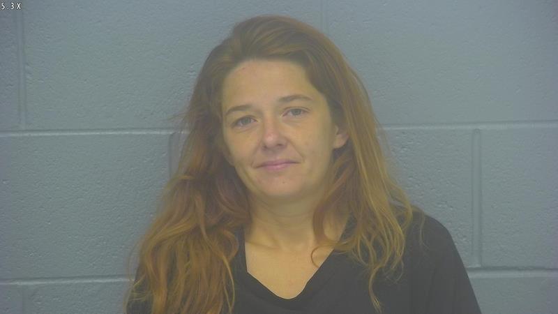 Arrest Photo of AMY HESSEE, arrested on 6/14/2025