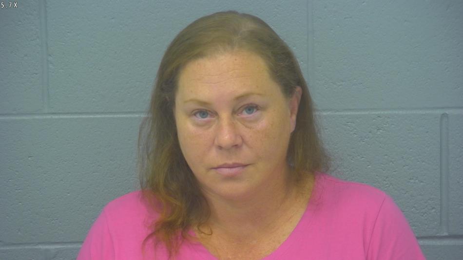 Arrest photo of AMY HARTMAN