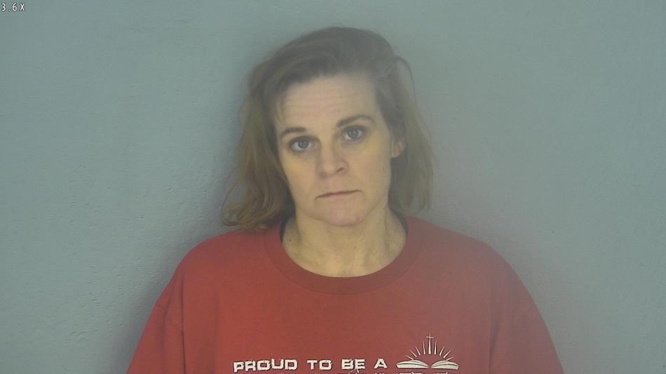 Arrest photo of AMY FORTIN