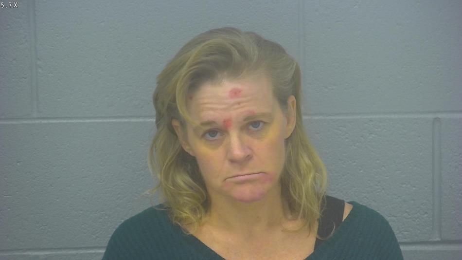 Arrest photo of AMY FORTIN