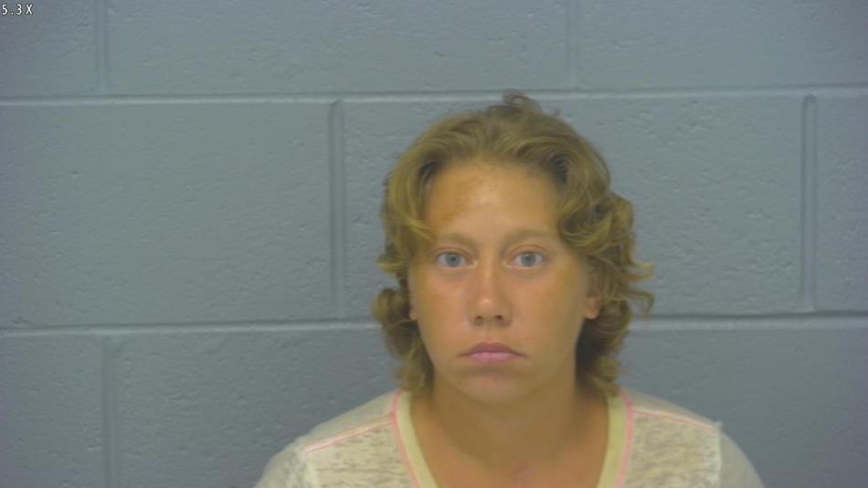 Arrest photo of AMY HEBERT