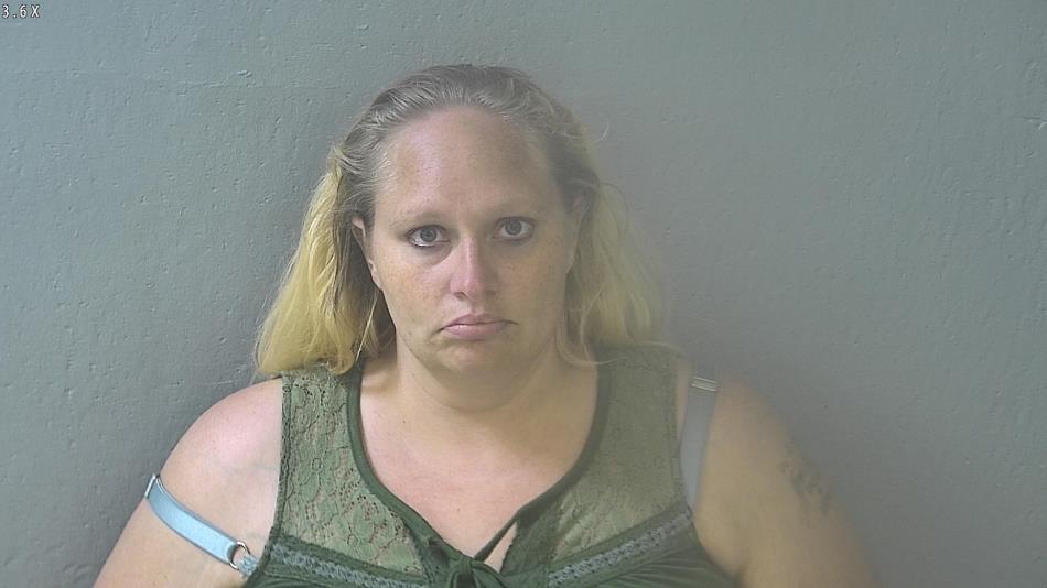 Arrest photo of AMY FERGUSON