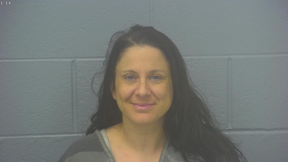 Arrest photo of AMY BEACH