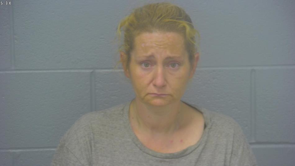 Arrest Photo of AMY CARSON, arrested on 5/28/2024