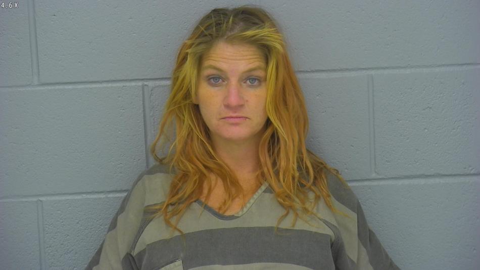 Arrest photo of AMY GREATHOUSE