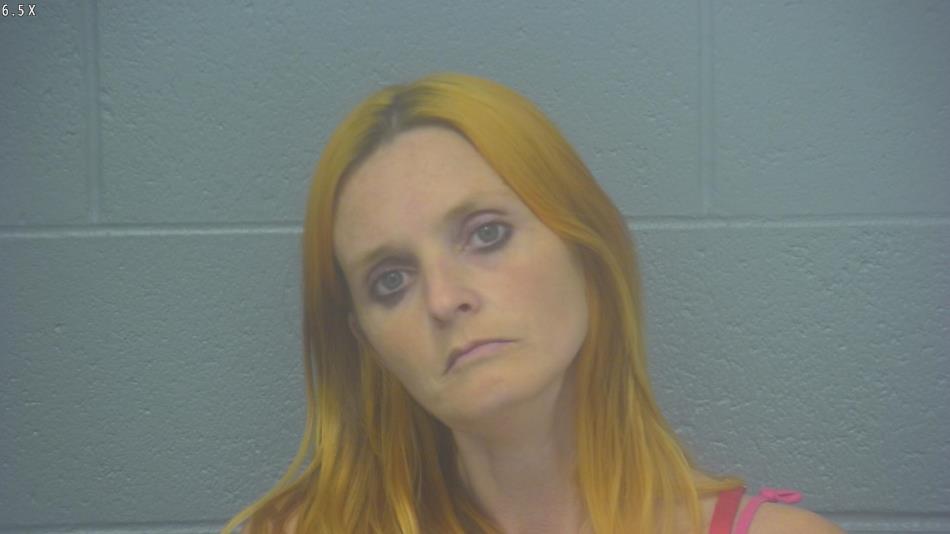 Arrest photo of AMY LATHAM