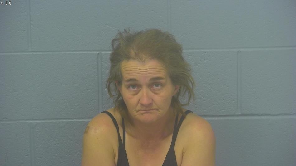Arrest photo of AMY HAMMETT