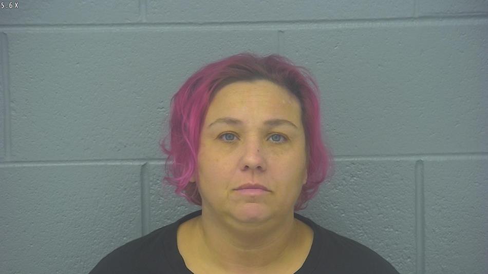 Arrest photo of AMY COLE
