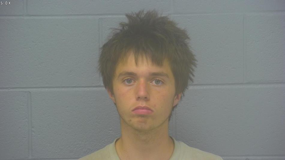 Arrest photo of ANAKIN WILSON