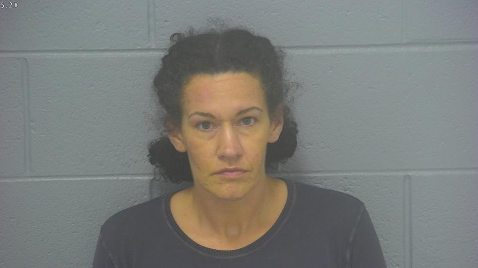 Arrest photo of ANALEE DEVOL