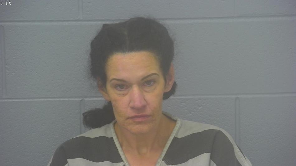 Arrest Photo of ANALEE DEVOL, arrested on 11/8/2024