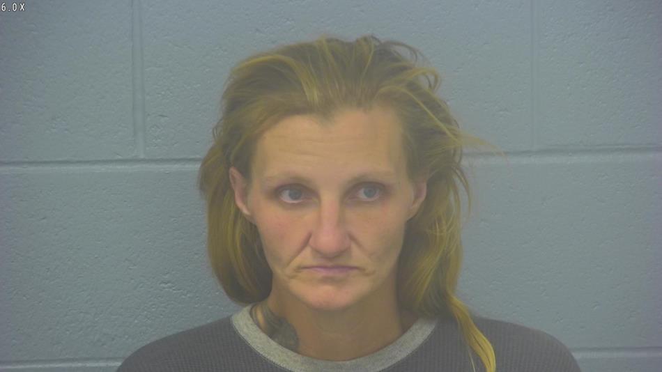 Arrest photo of ANASTASIA HARTSE