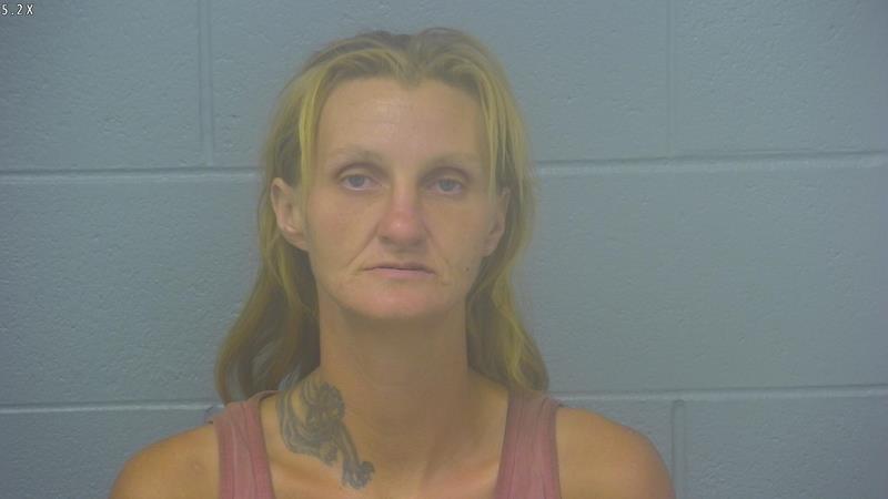 Arrest photo of ANASTASIA HARTSE
