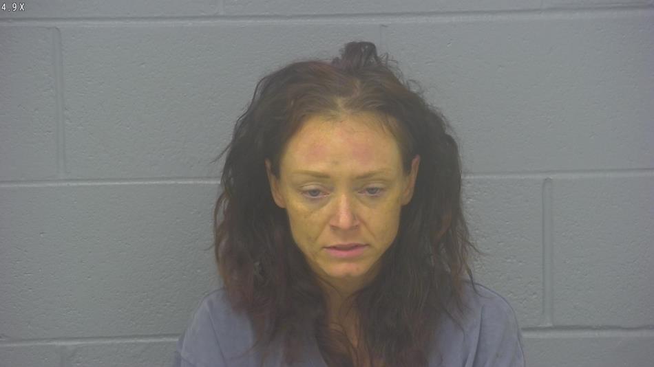 Arrest photo of ANDREA TURNER