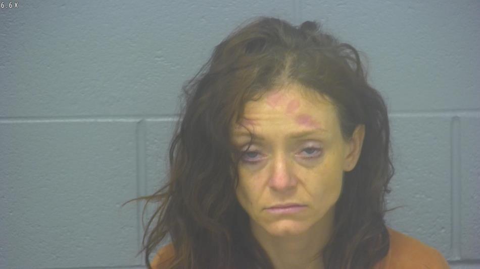 Arrest photo of ANDREA TURNER