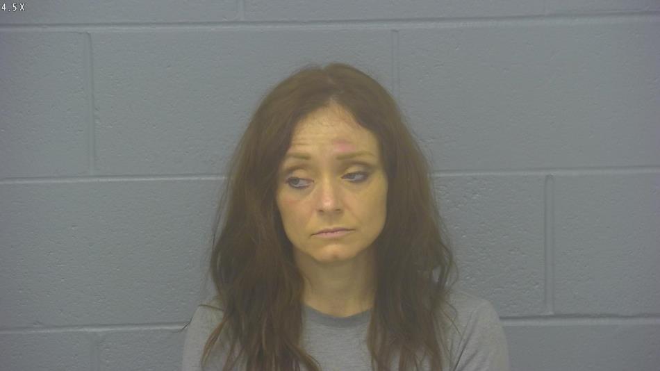 Arrest photo of ANDREA TURNER