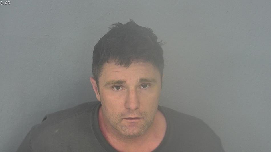 Arrest photo of ANDREW MITCHELL