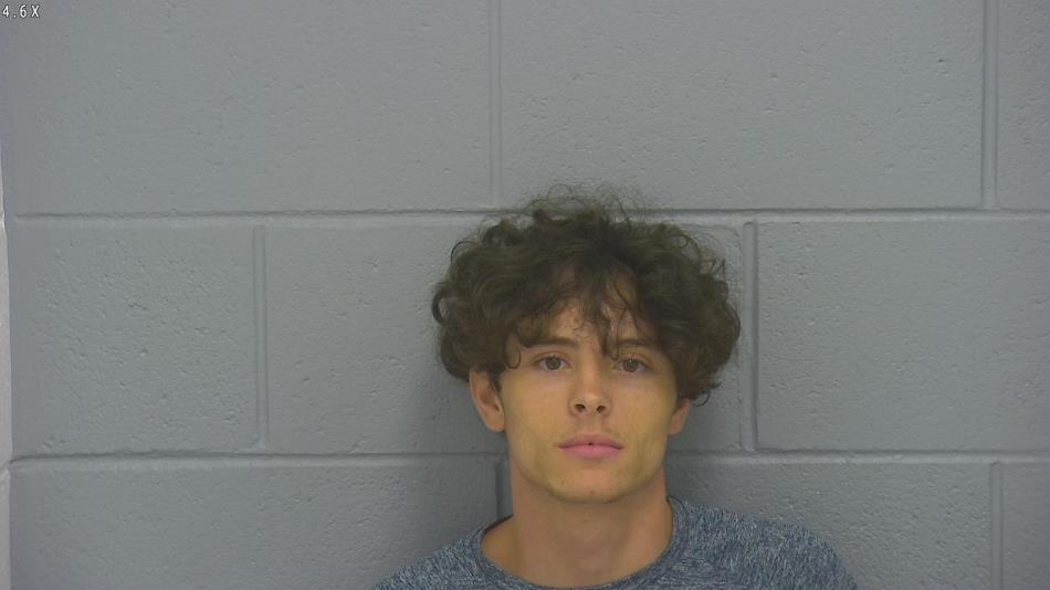 Arrest photo of ANDREW PAGE