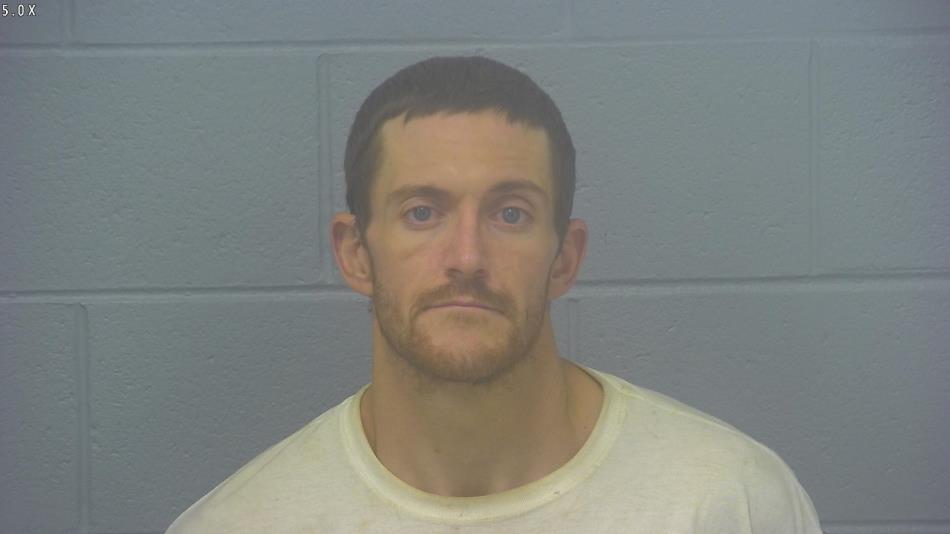 Arrest photo of ANDREW WALKER