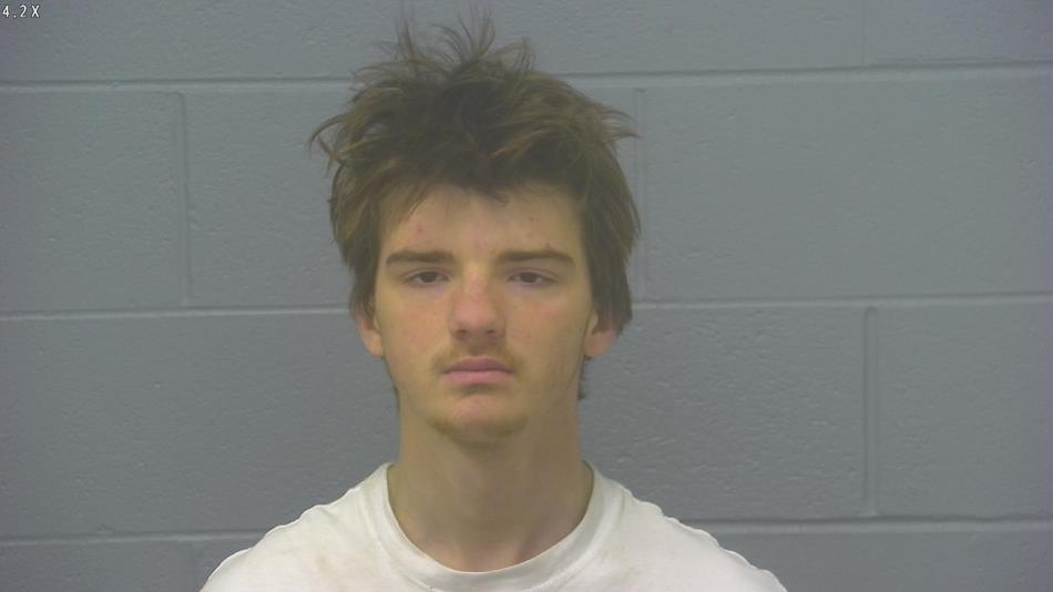 Arrest photo of ANDREW FALLIN