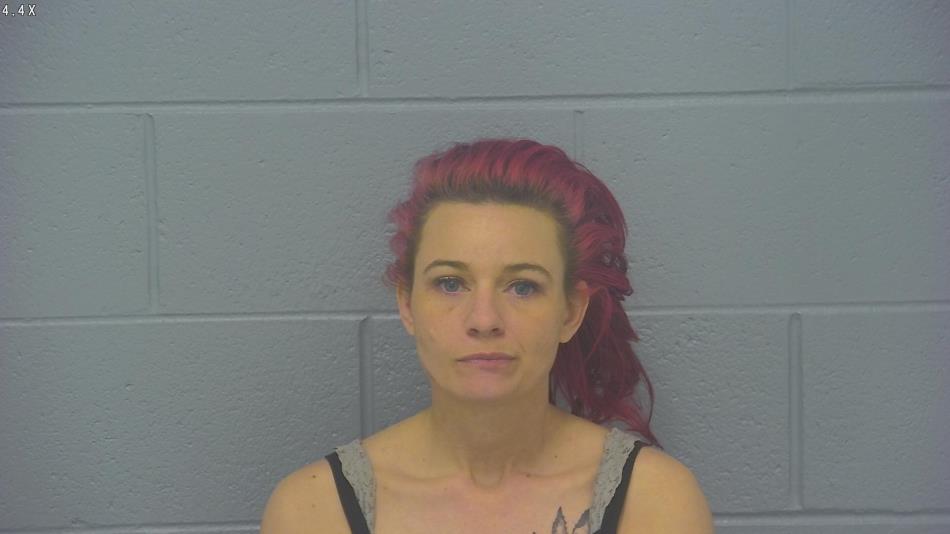 Arrest photo of ANGEL ALFF