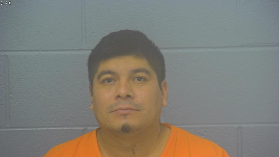 Arrest photo of ANGEL RIVERA-CASTANEDA