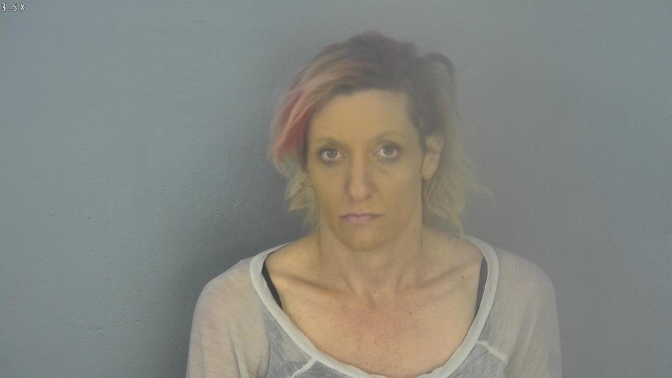 Arrest photo of ANGELA MCDERMOTT