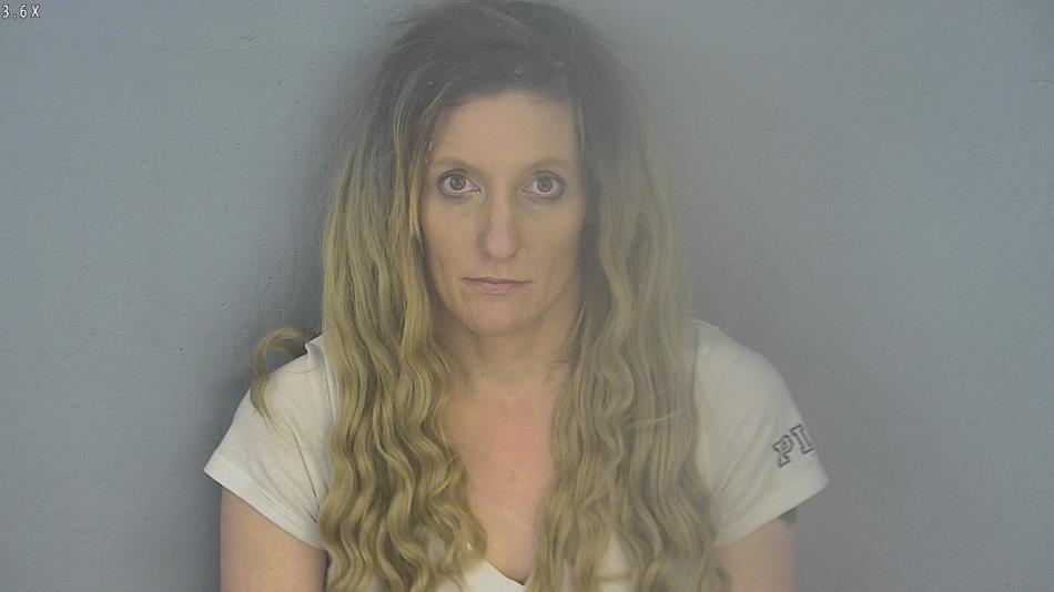 Arrest photo of ANGELA MCDERMOTT