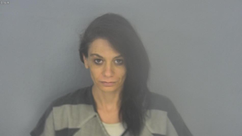 Arrest photo of ANGELA HASLER